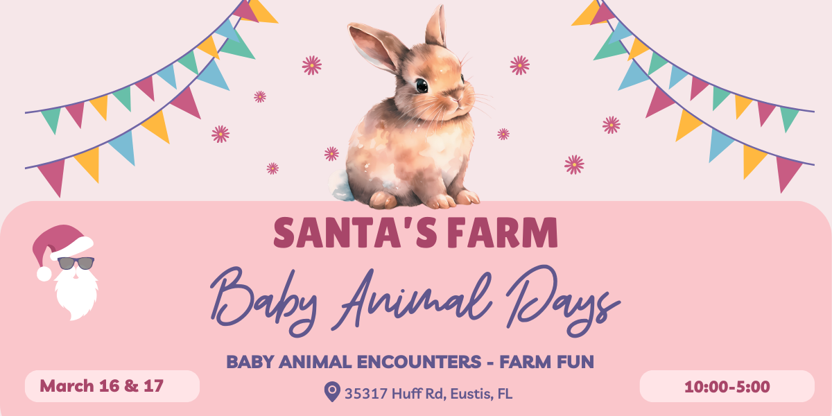 Baby Animals Tickets